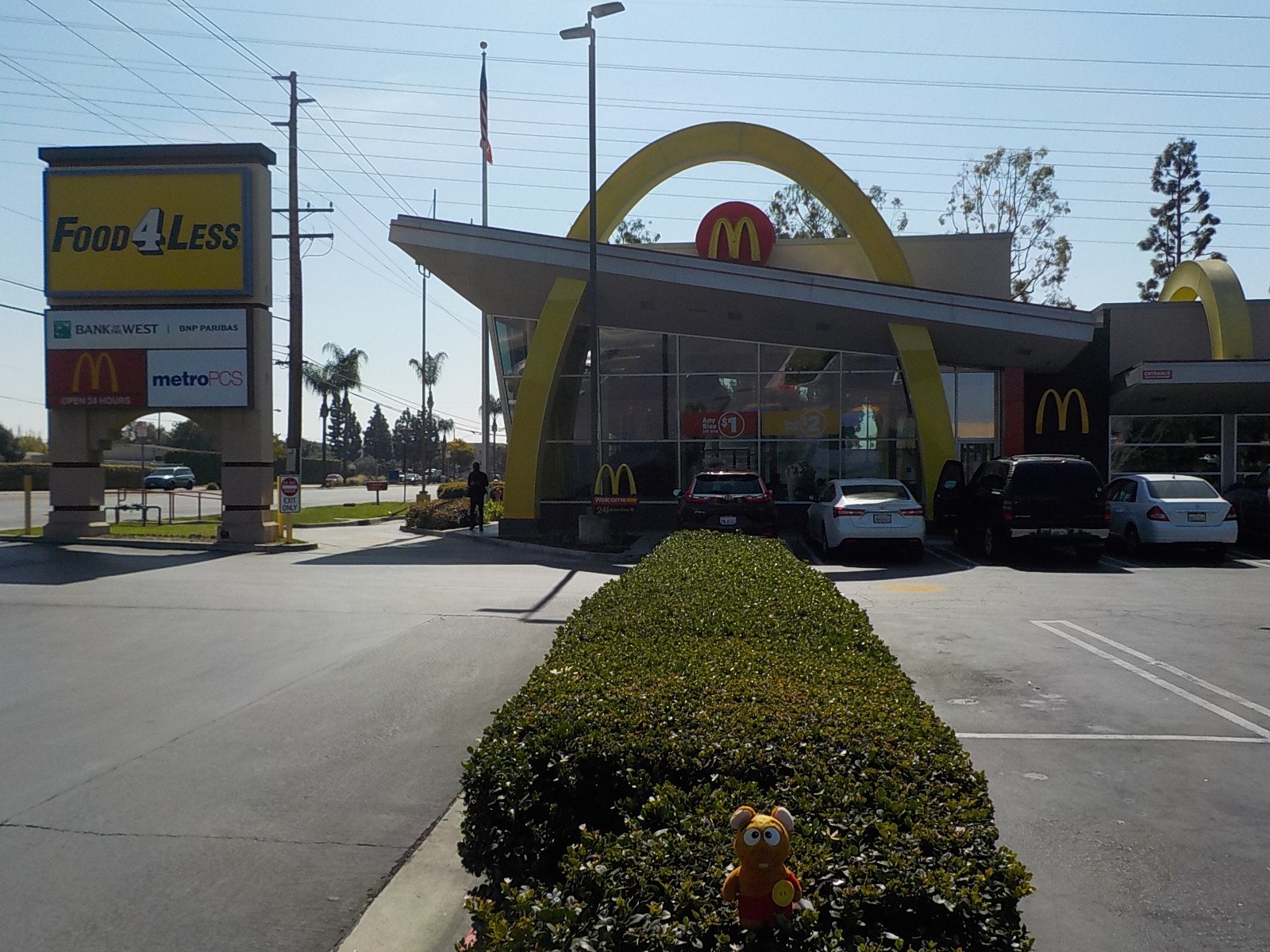 Photo credit: tripadvisor