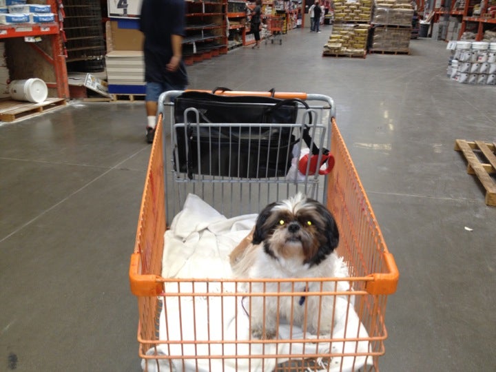 Home Depot Stockton