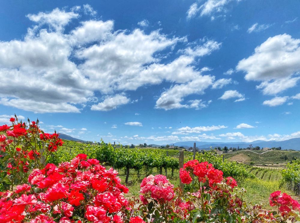 Avensole Winery 34567 Rancho California Rd, Temecula