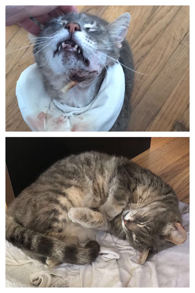 Photo credit: 
