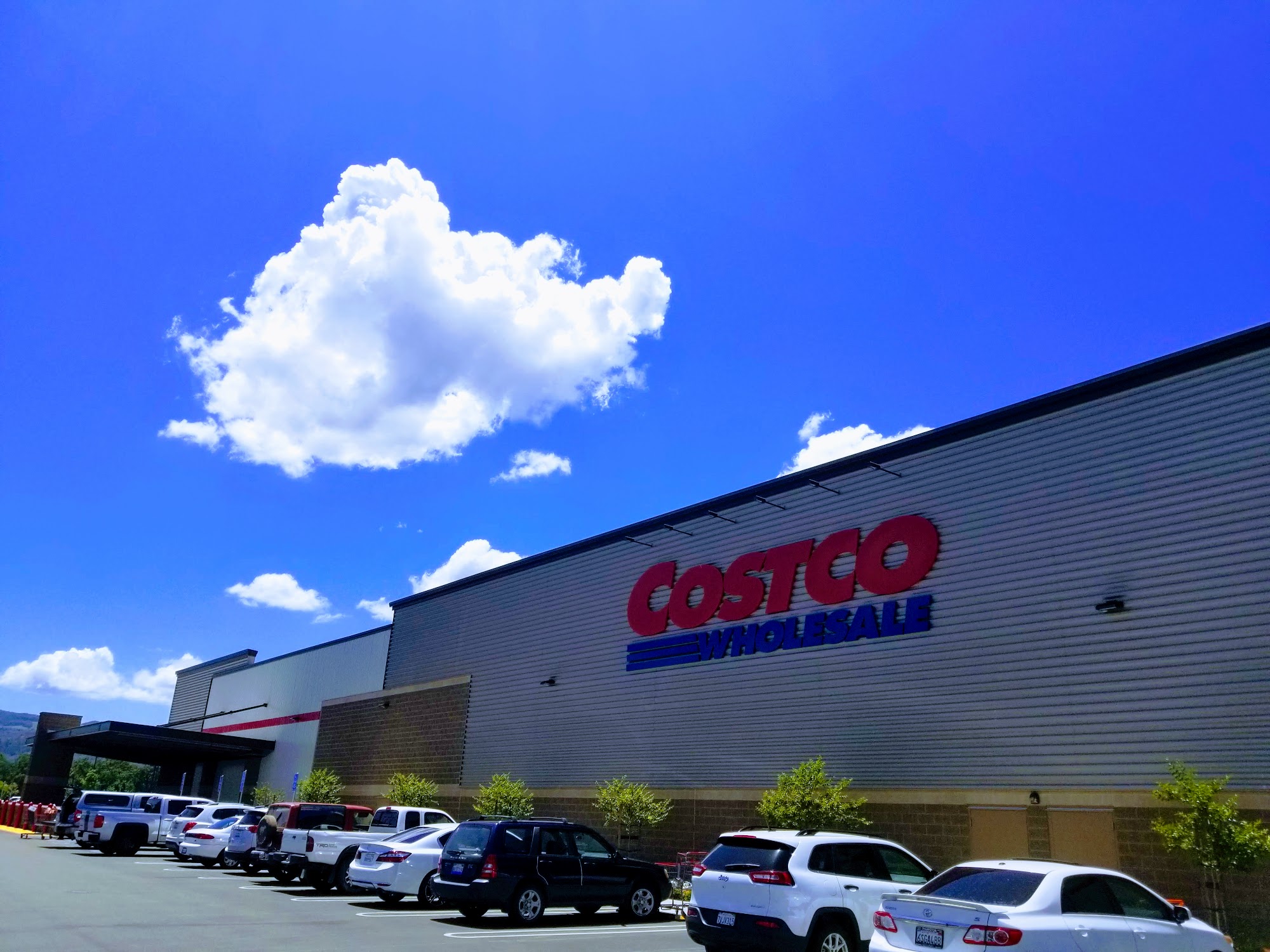 Costco Wholesale