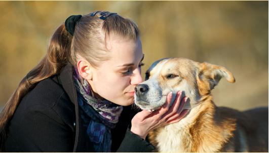 USA K9 Outfitters Aurora