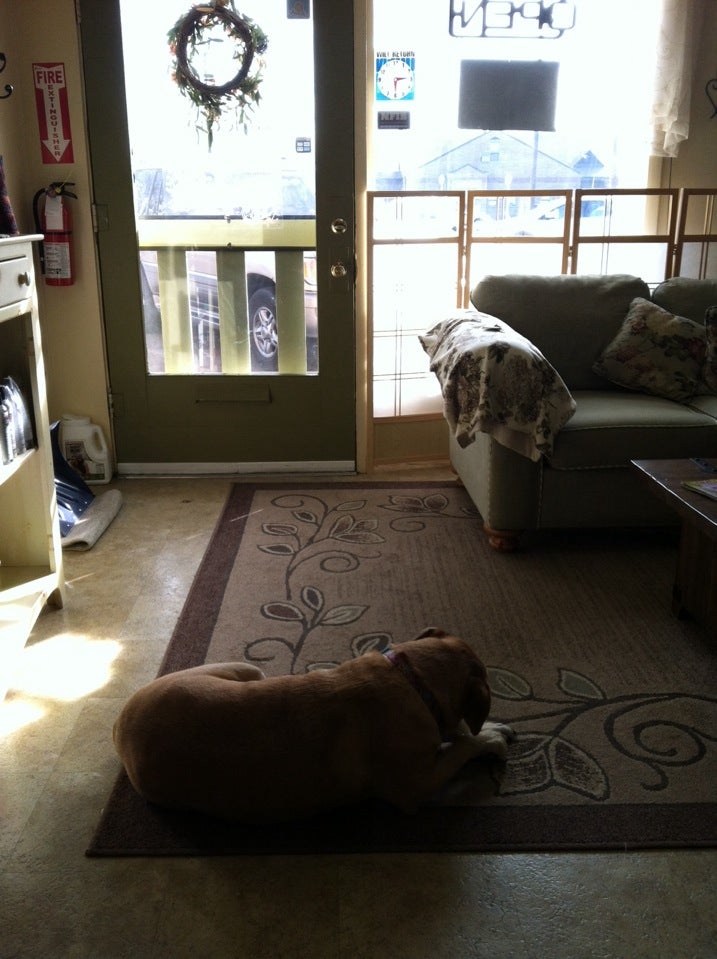 Dee's Styles and Cuts