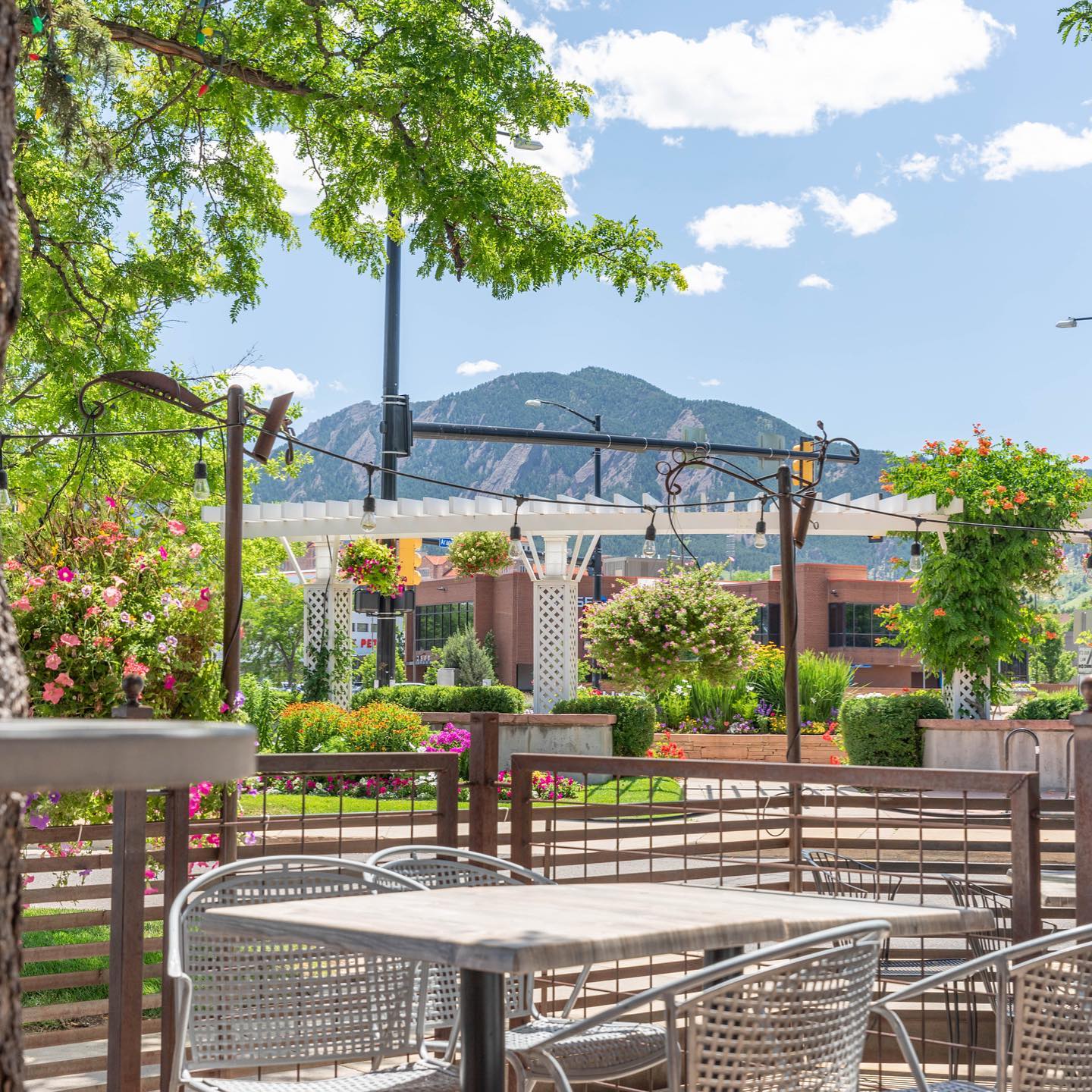 Zolo Grill 2525 Arapahoe Ave, Boulder