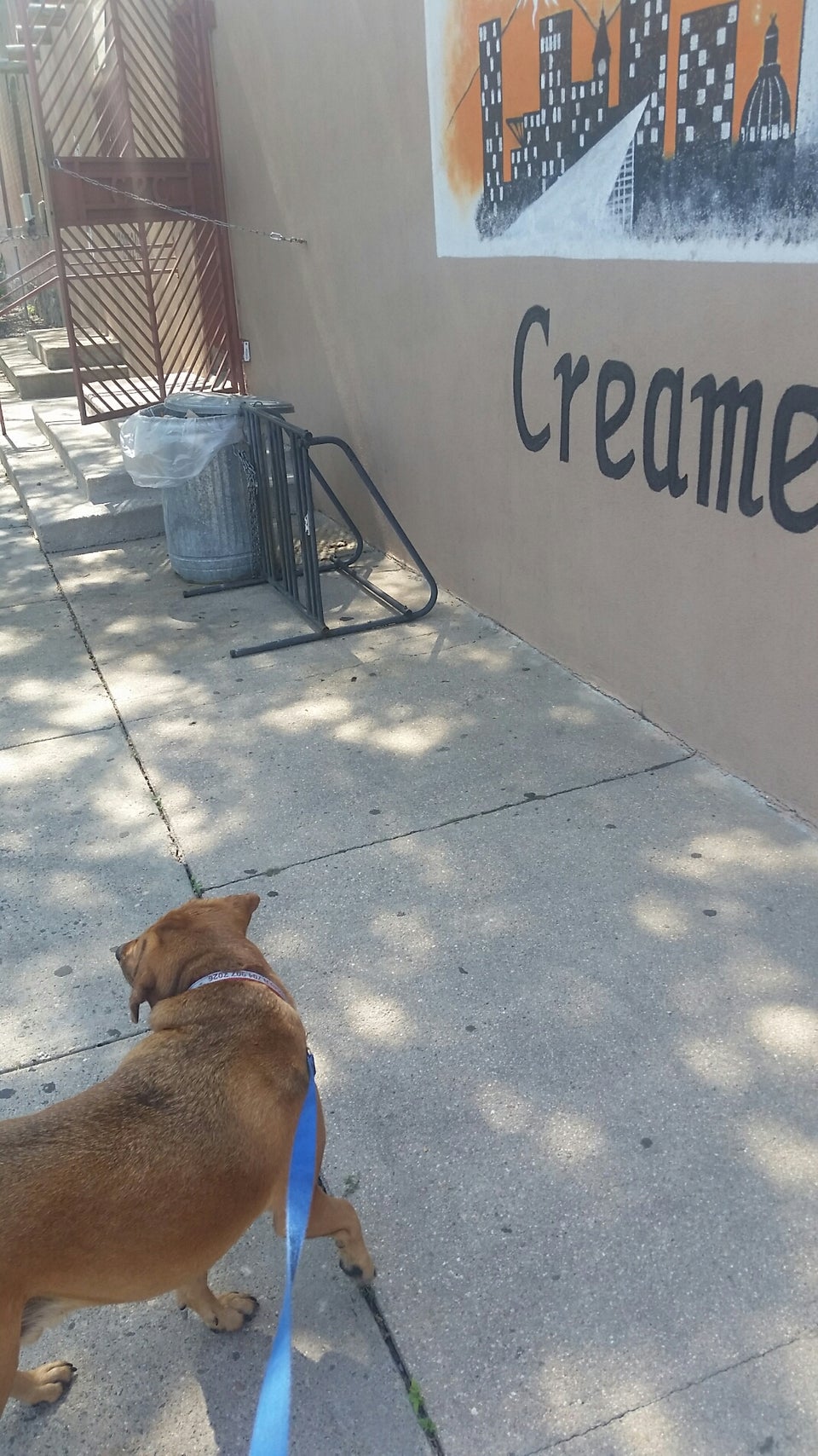 Curtis Park Creamery 908 30th St, Denver
