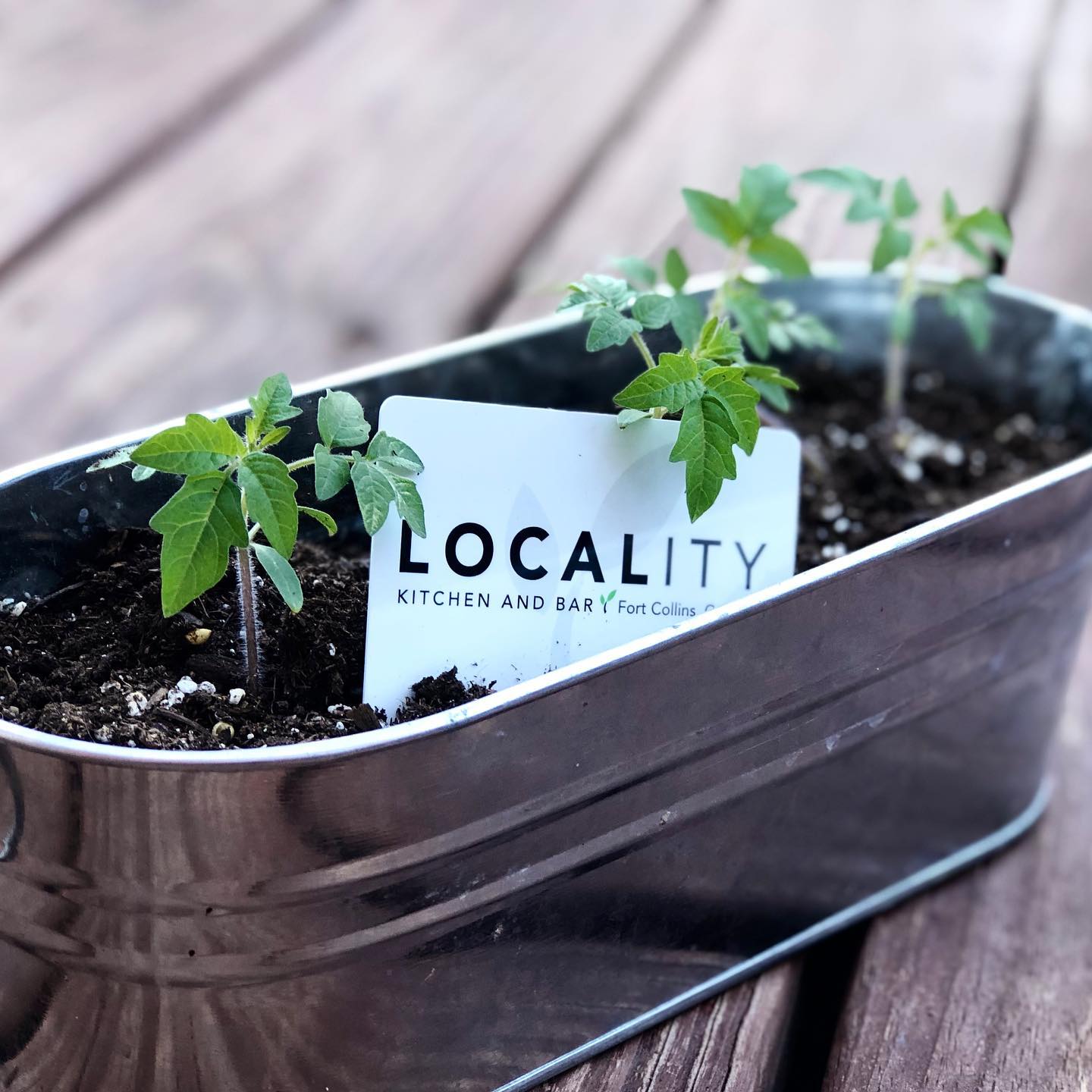Locality Kitchen and Bar 2350 E Harmony Rd Suite 101 Suite 101, Fort Collins