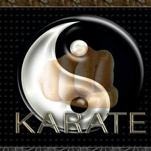 Kenpo Karate & PHOENIX fitness of Woodland Park/Panthers Boxing MMA