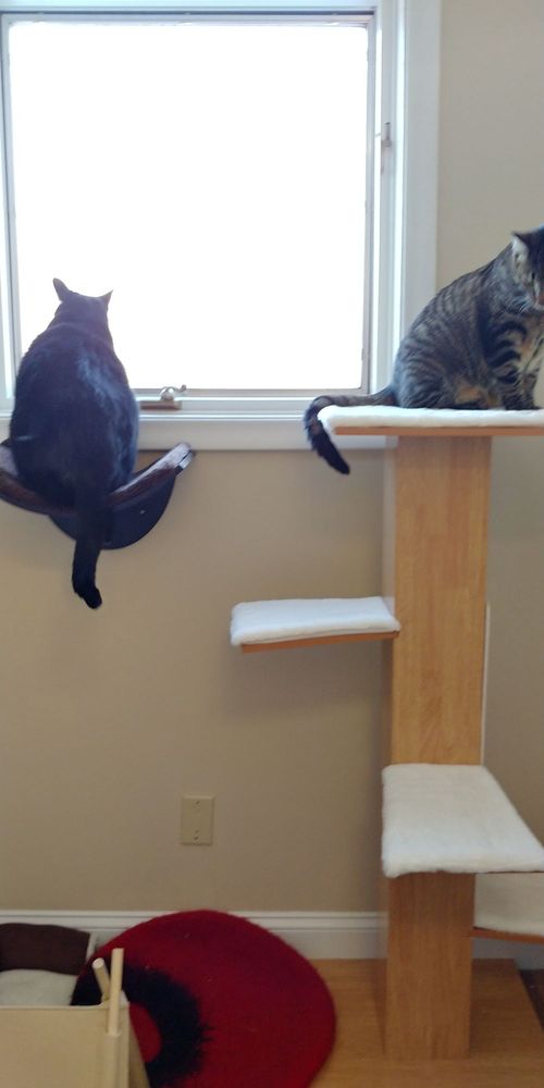 Photo credit: 