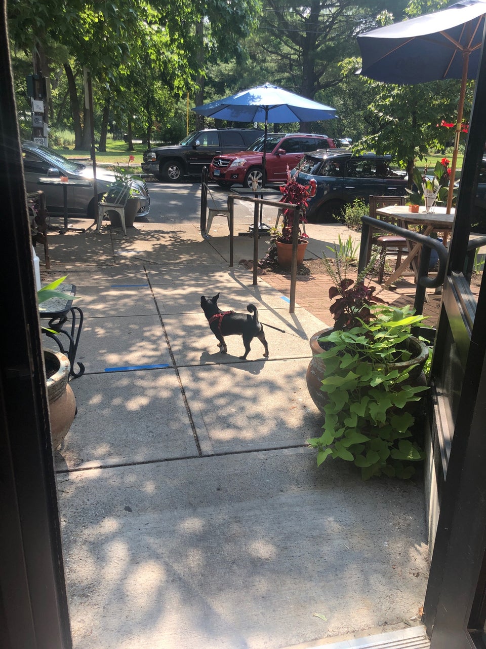 Manjares Bistro 838 Whalley Ave #3, New Haven