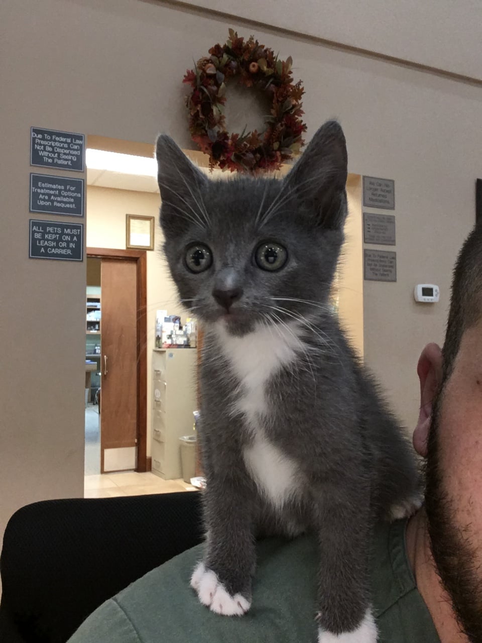 Hilltop Animal Hospital 16402 US-441, Alachua
