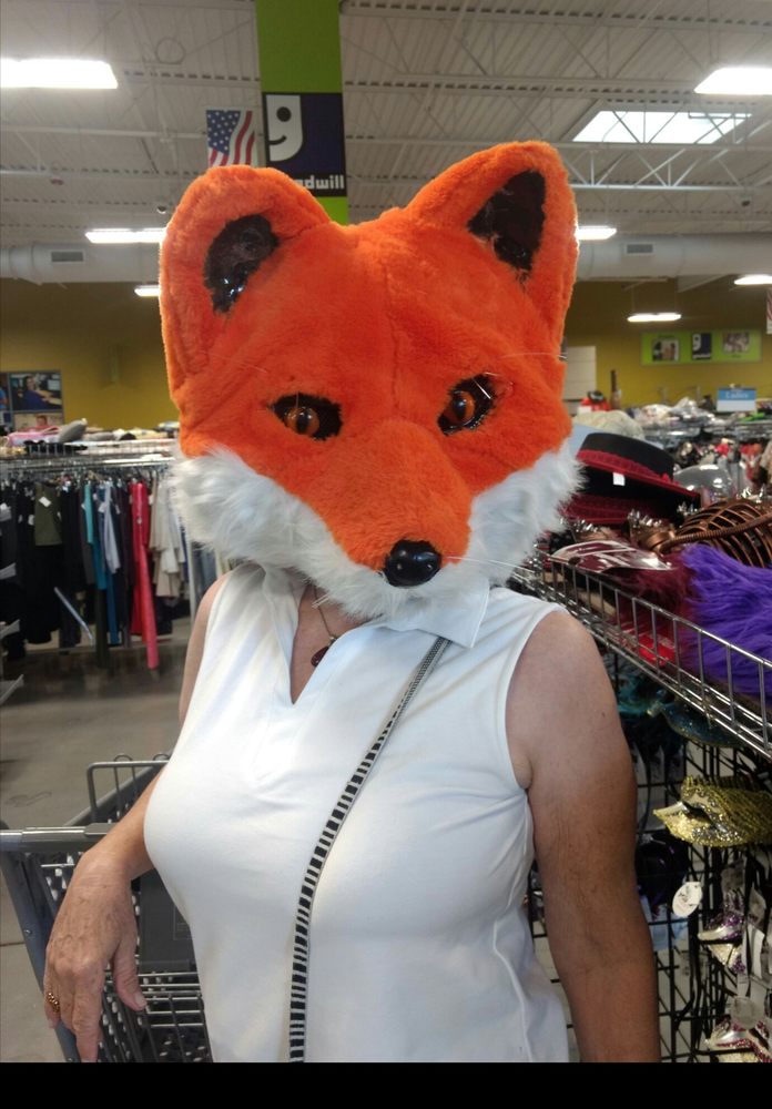 Photo credit: 