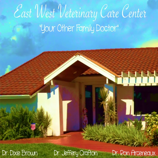 East West Veterinary Care Center