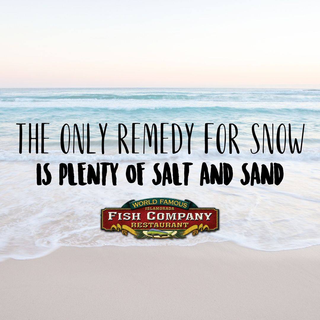 Islamorada Fish Company 220 Gulf Stream Way, Dania Beach
