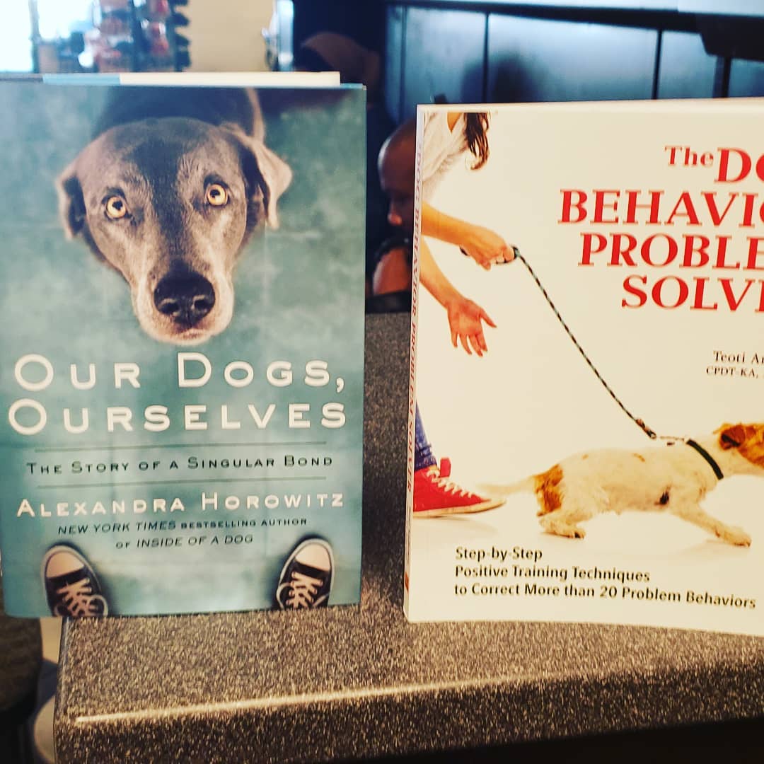 Canine Command Estero