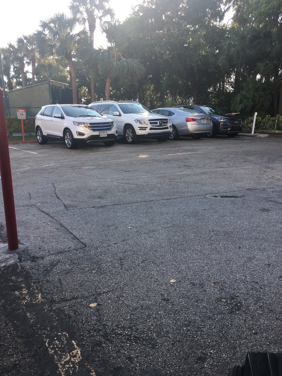 Avis Rent A Car Fort Lauderdale