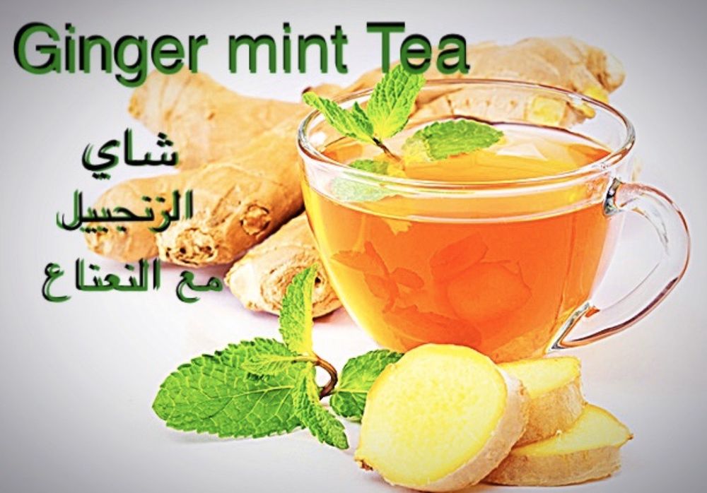Kabab Village Mediterranean Restaurant -Restaurant , Café & Hookah Lounge 4805 S Cleveland Ave, Fort Myers