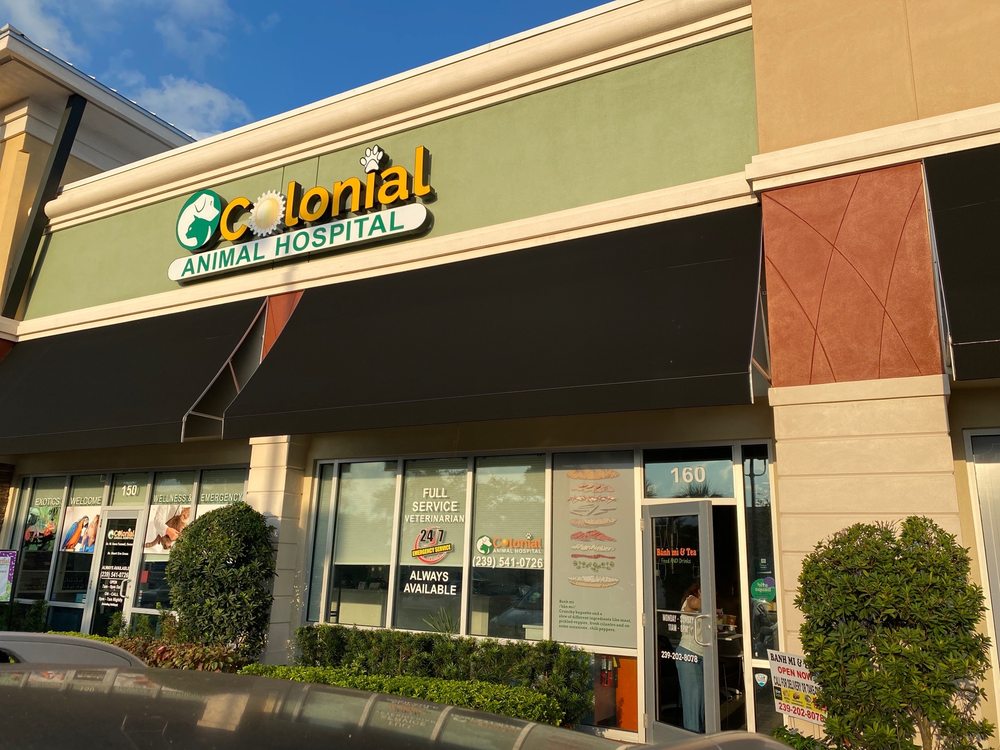 banh mi & tea 9321 6 Mile Cypress Pkwy #160, Fort Myers