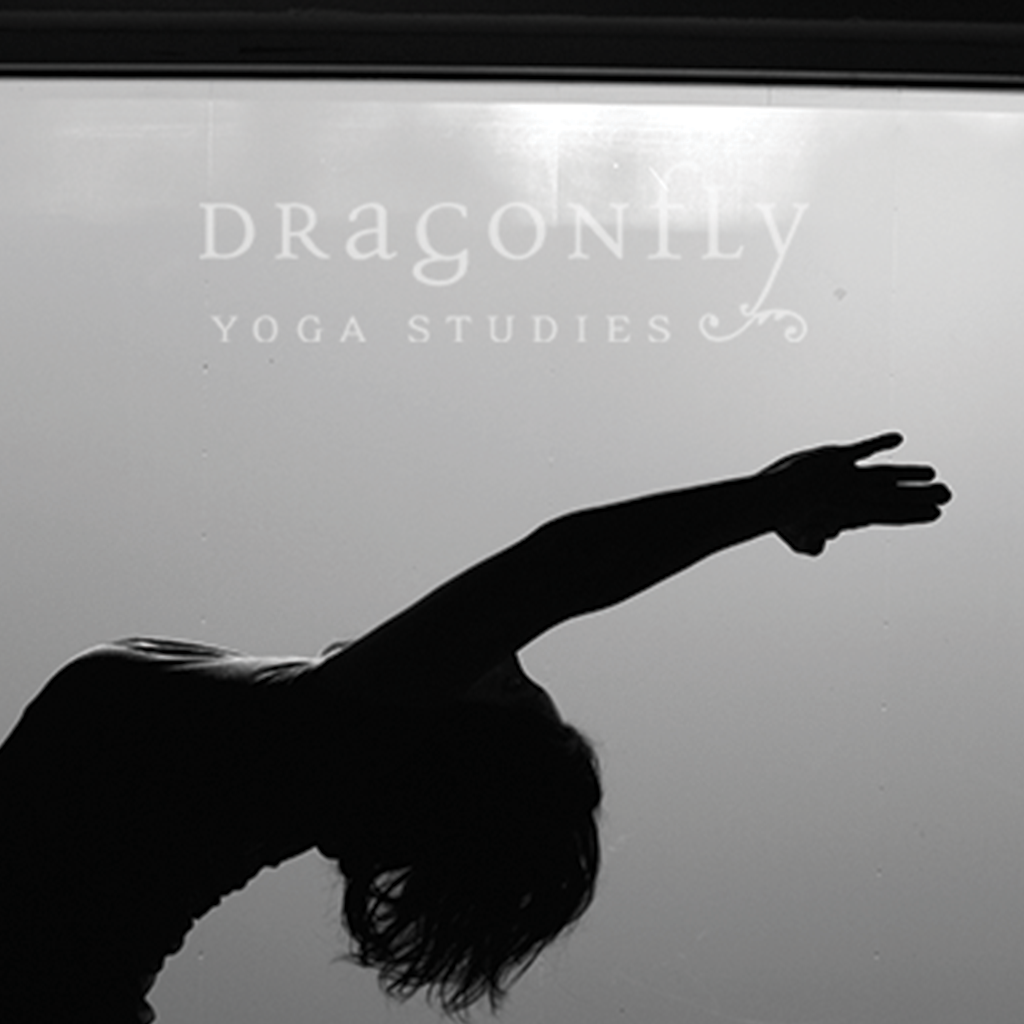 Dragonfly Yoga Studio