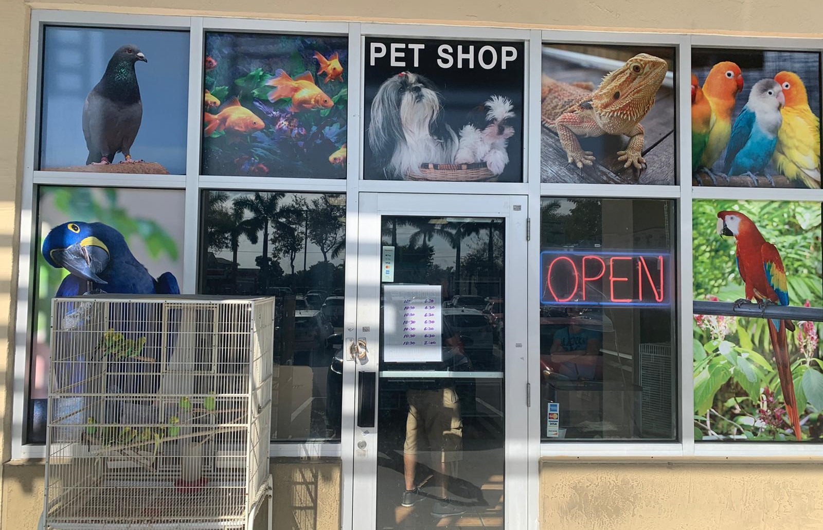 Animal Jungle Shop