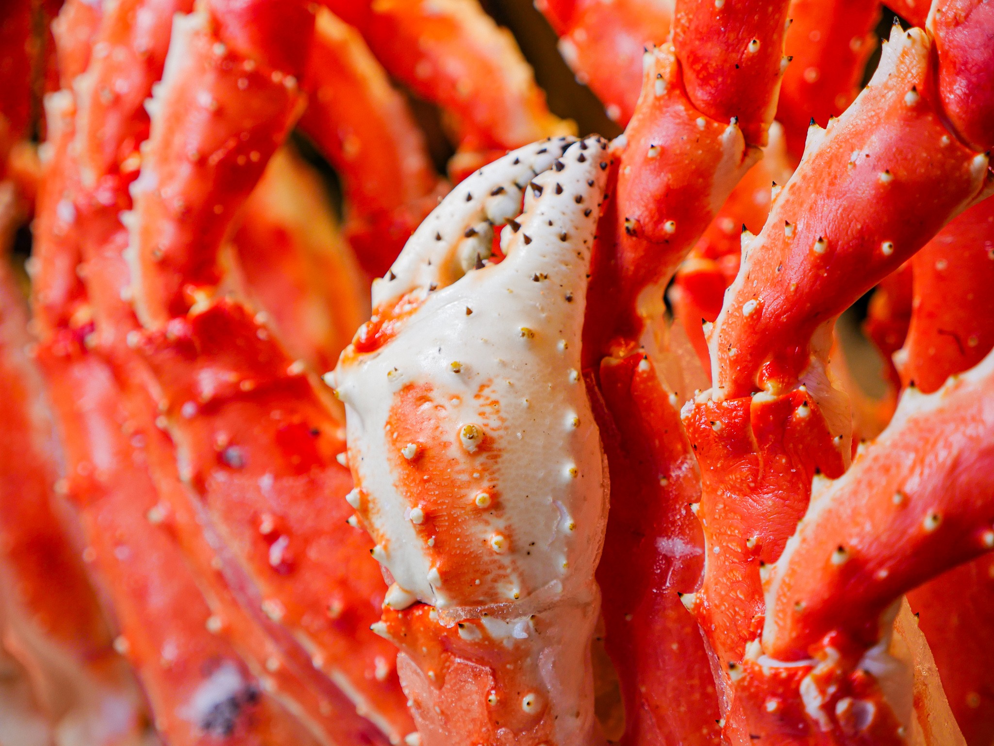 Billy's Stone Crab Hollywood 400 N Ocean Dr, Hollywood