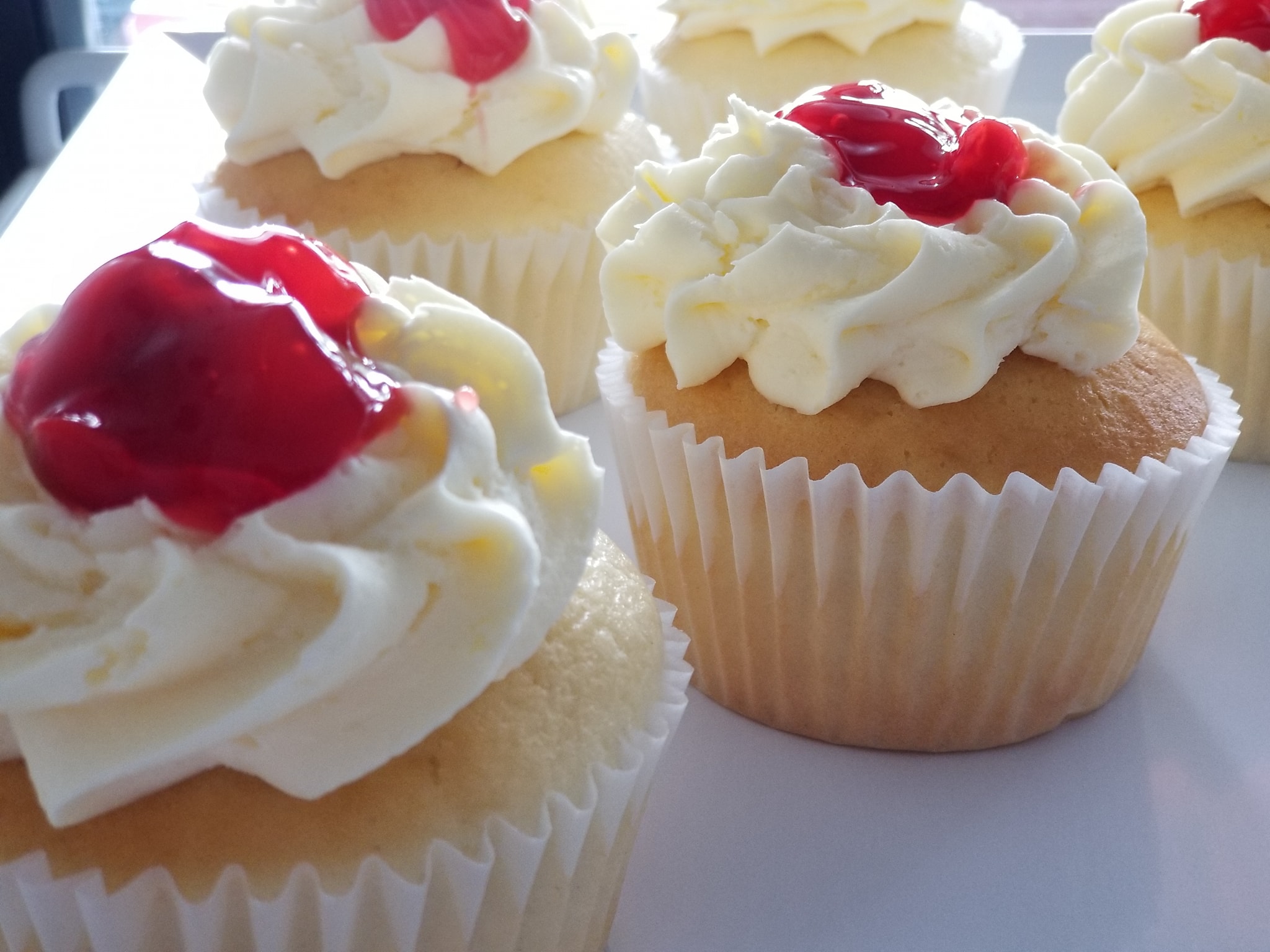 Sivada's Cupcakery 3645 St Johns Ave, Jacksonville