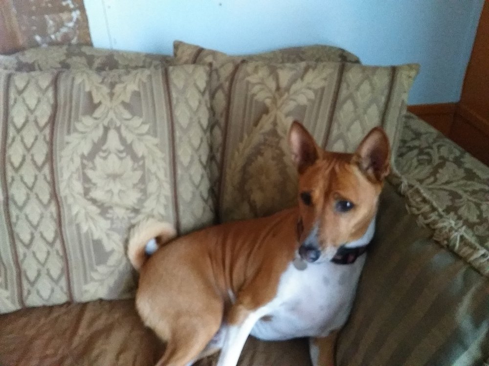 Photo credit: 