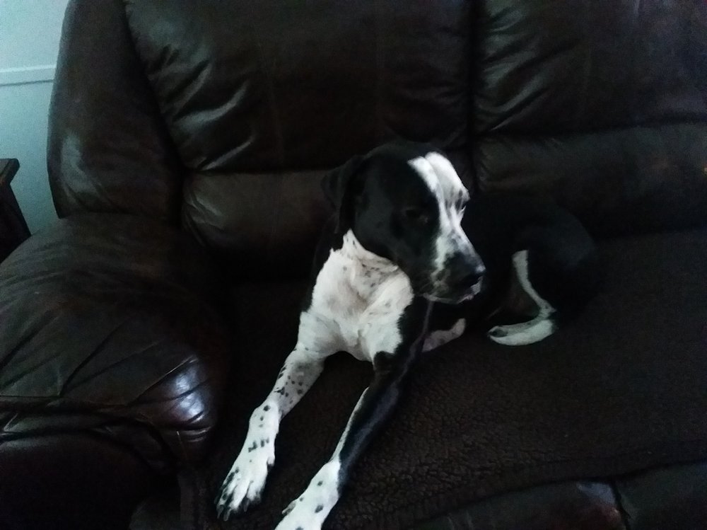 Photo credit: 