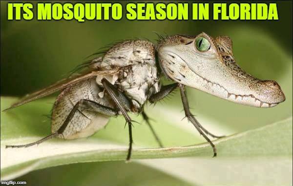 Gator's Dockside Highland City 5147 US Hwy 98 S, Lakeland