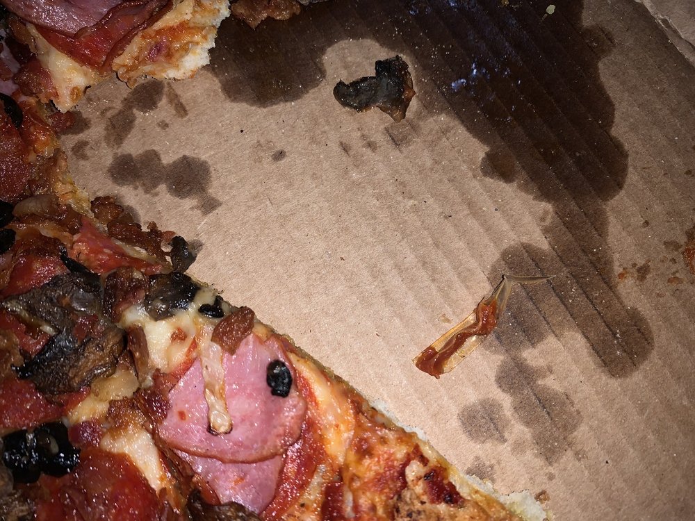 Domino's Pizza 3851 W Oakland Park Blvd, Lauderdale Lakes