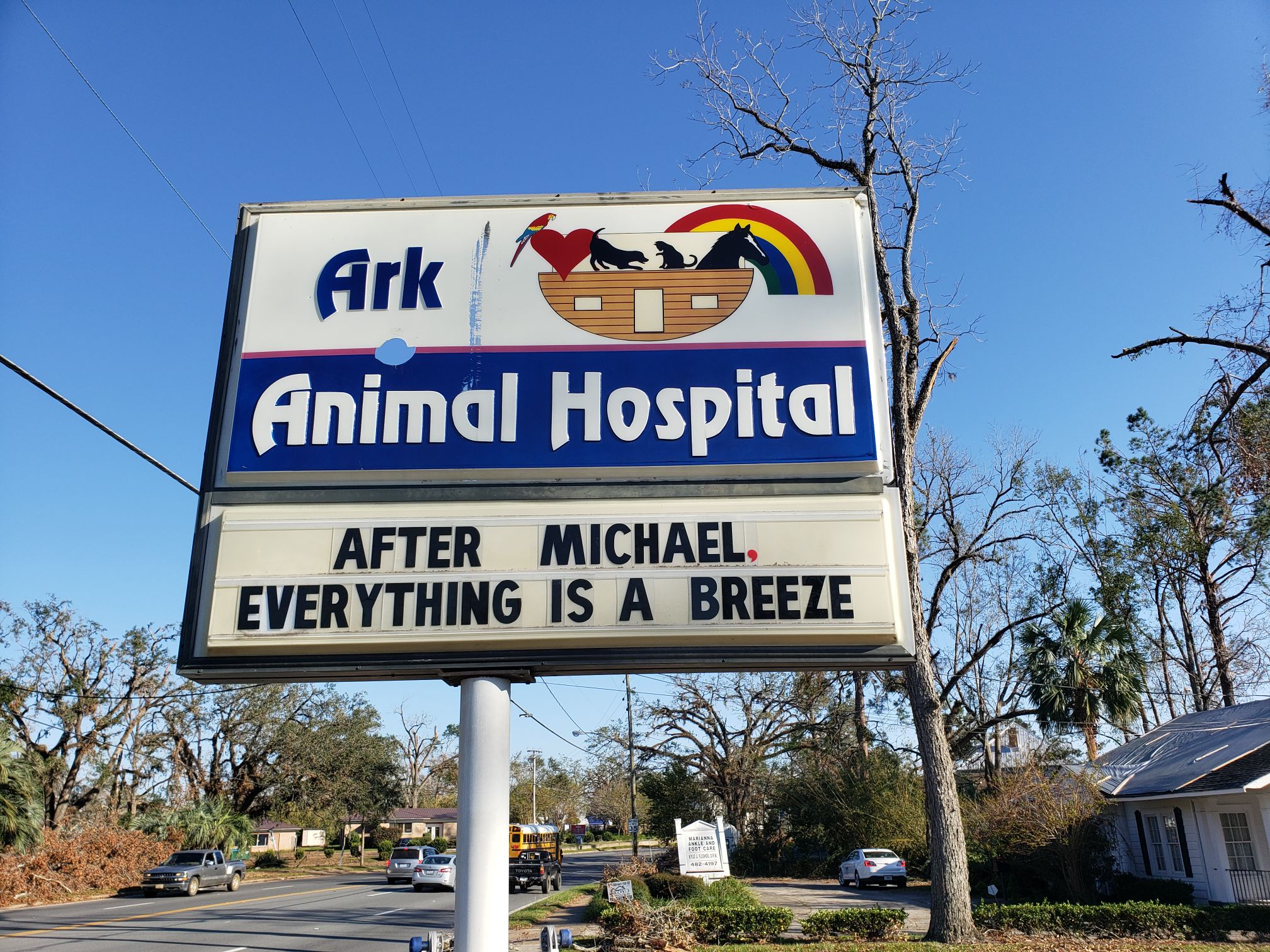 Ark Animal Hospital