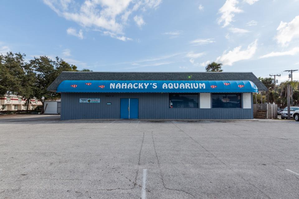 Nahacky's Aquarium