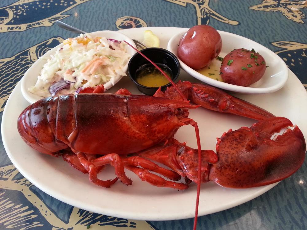 Photo credit: yellowpages