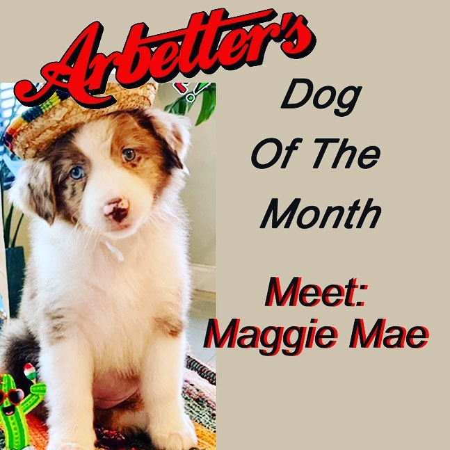 Arbetter's Hot Dogs 8747 SW 40th St, Miami
