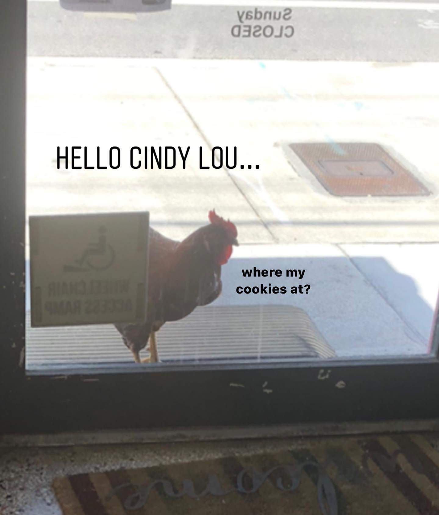 Cindy Lou's Cookies 7320 NE 2nd Ave, Miami