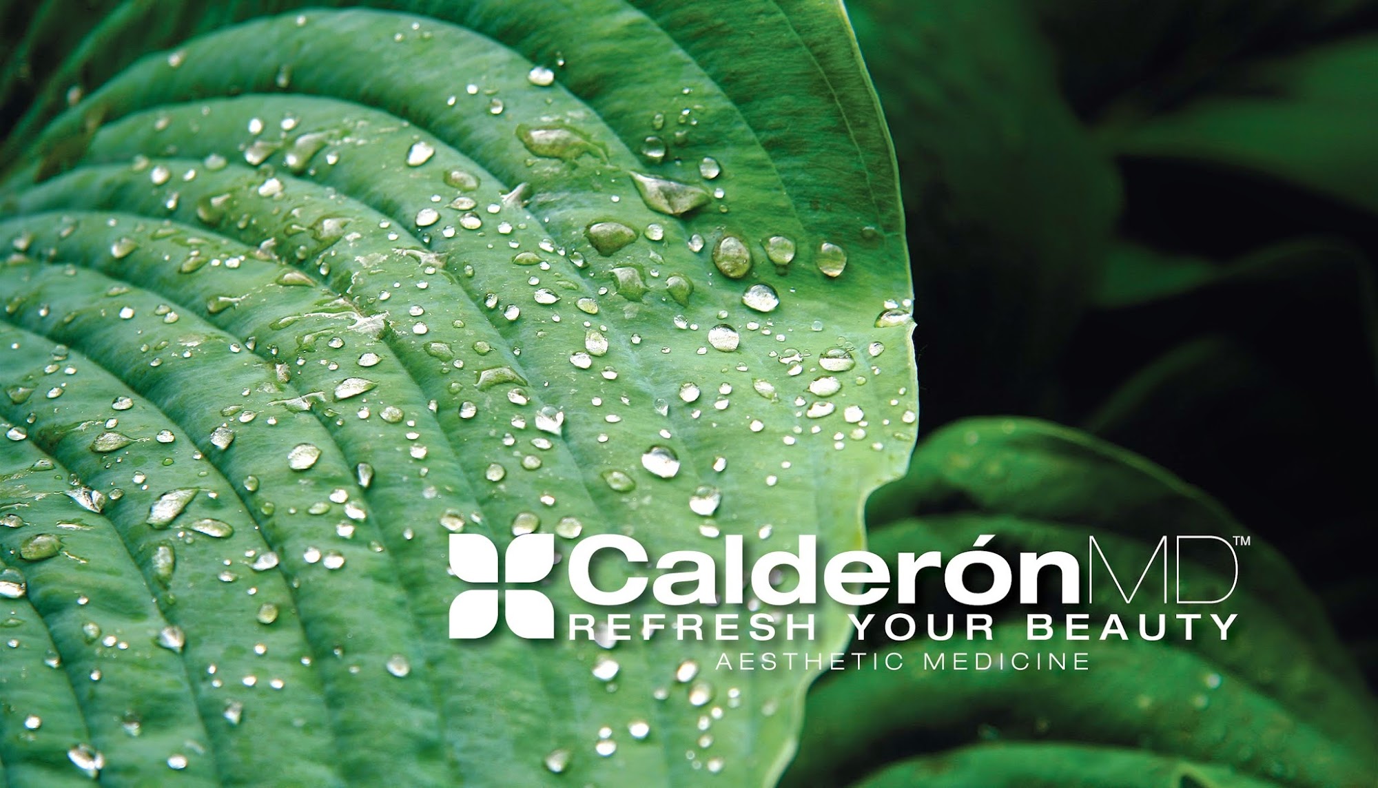 REFRESH YOUR BEAUTY - Leonel Calderón, M.D.