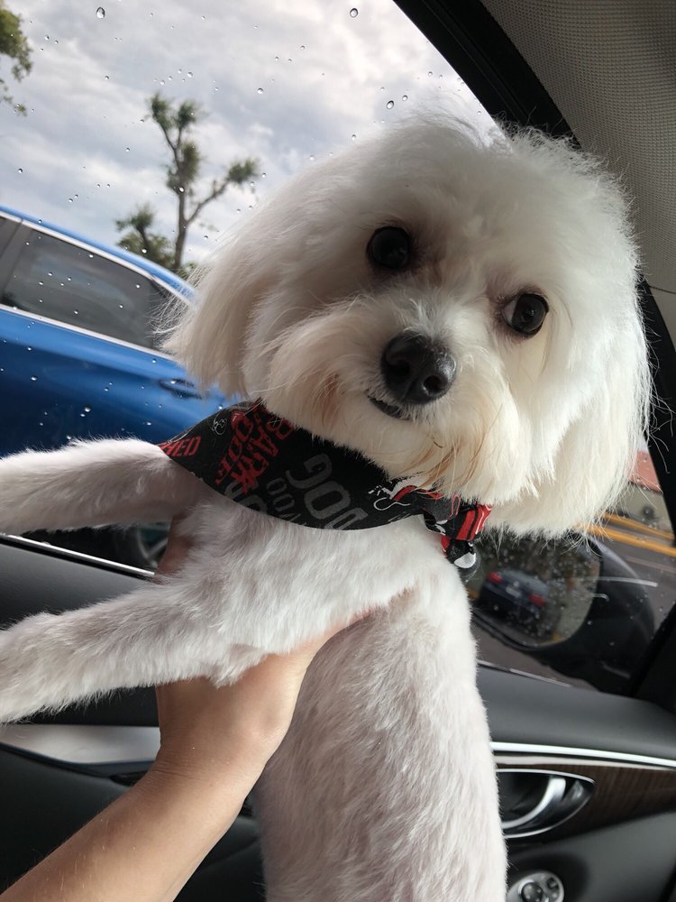 Photo credit: 