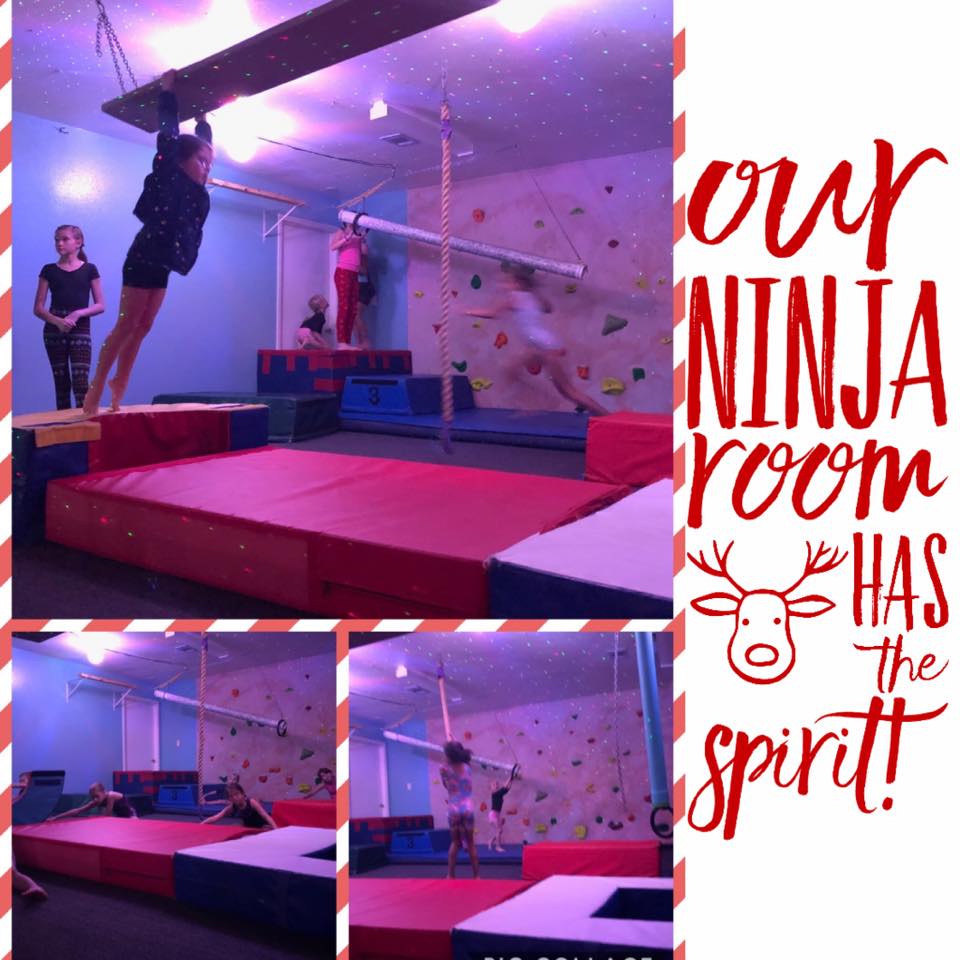 US Gold Gymnastics (Competition Gym) 143 Business Centre Dr, Miramar Beach