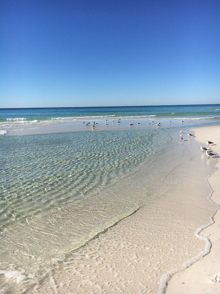 Destin Jeep Rentals 495 Grand Blvd #206, Miramar Beach
