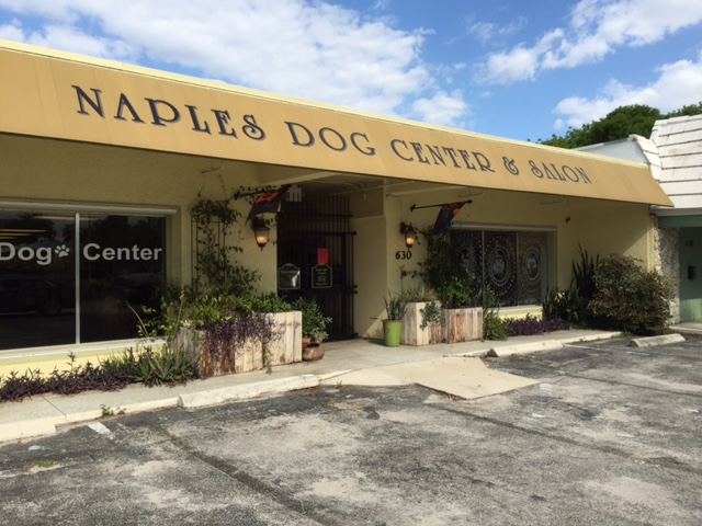 Naples Dog Center & Salon