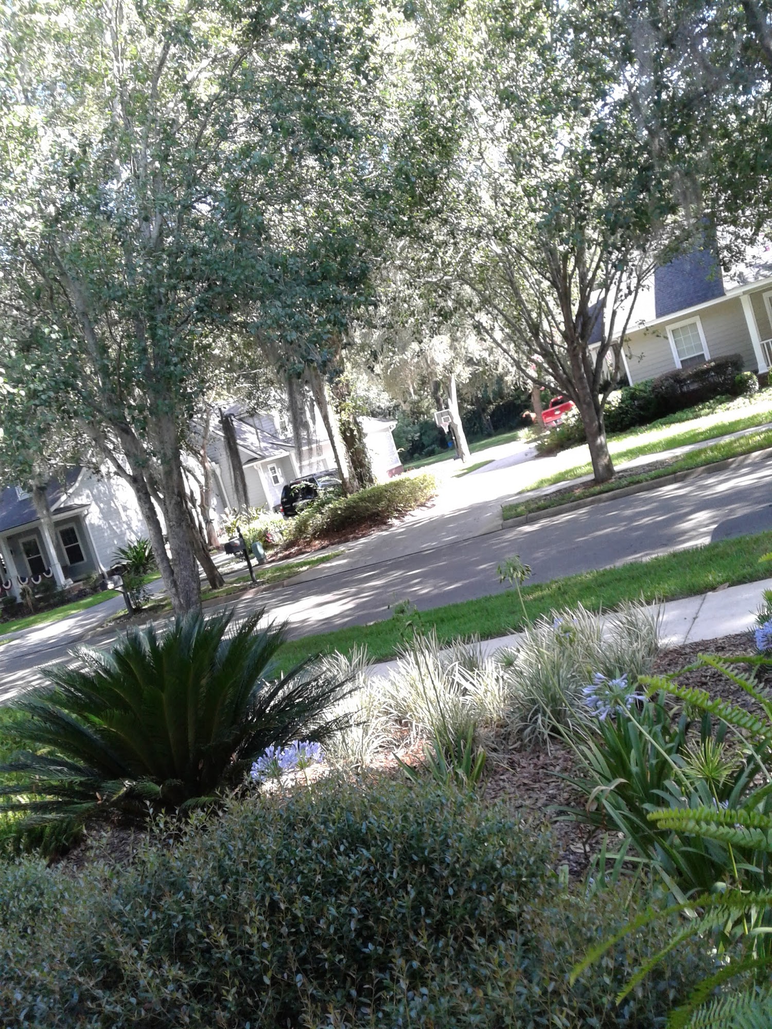 Hey Baby Llc 13122 SW 1st Pl, Newberry