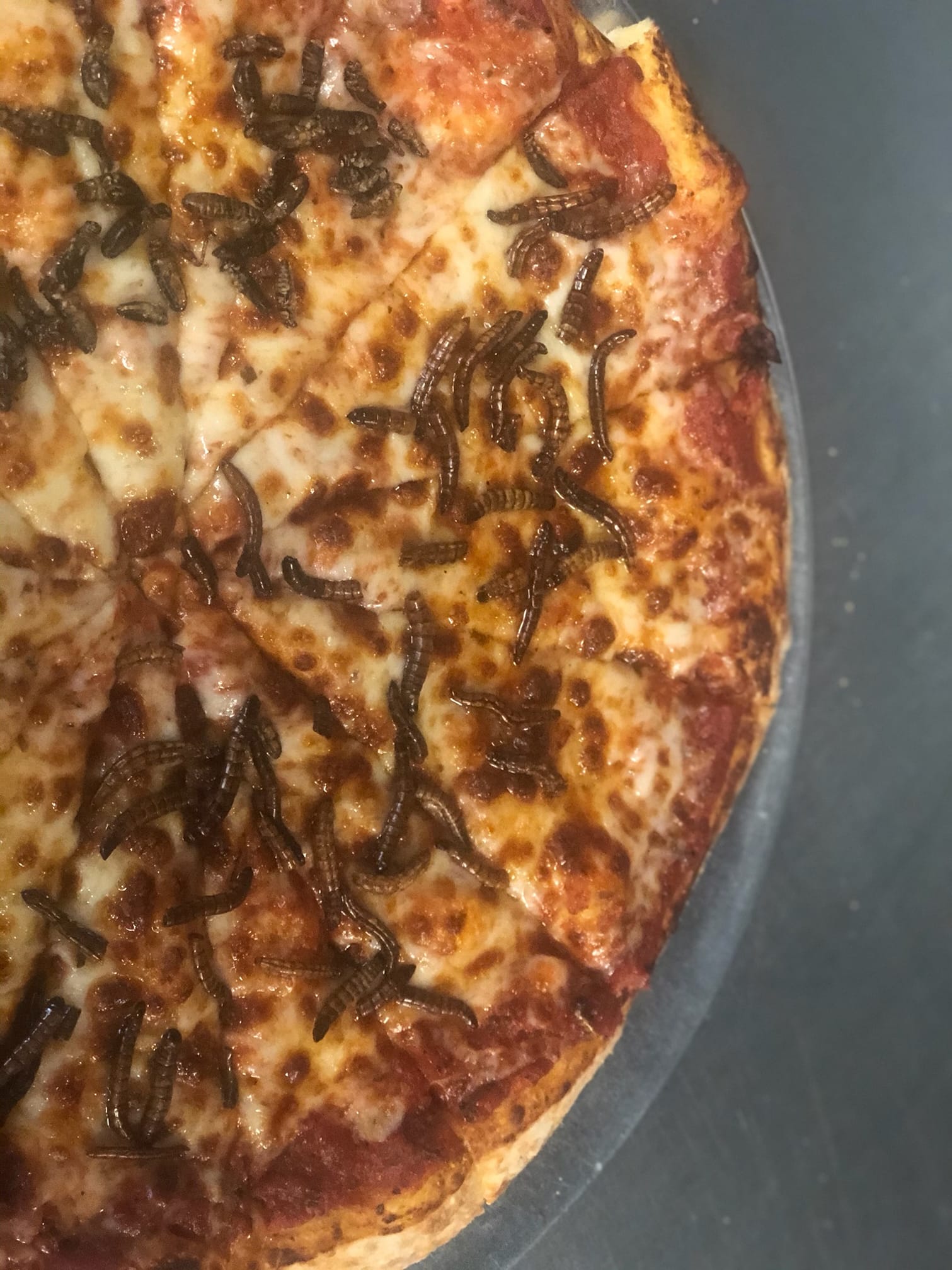 Pizza Xtreme 7250 S Kirkman Rd #103, Orlando