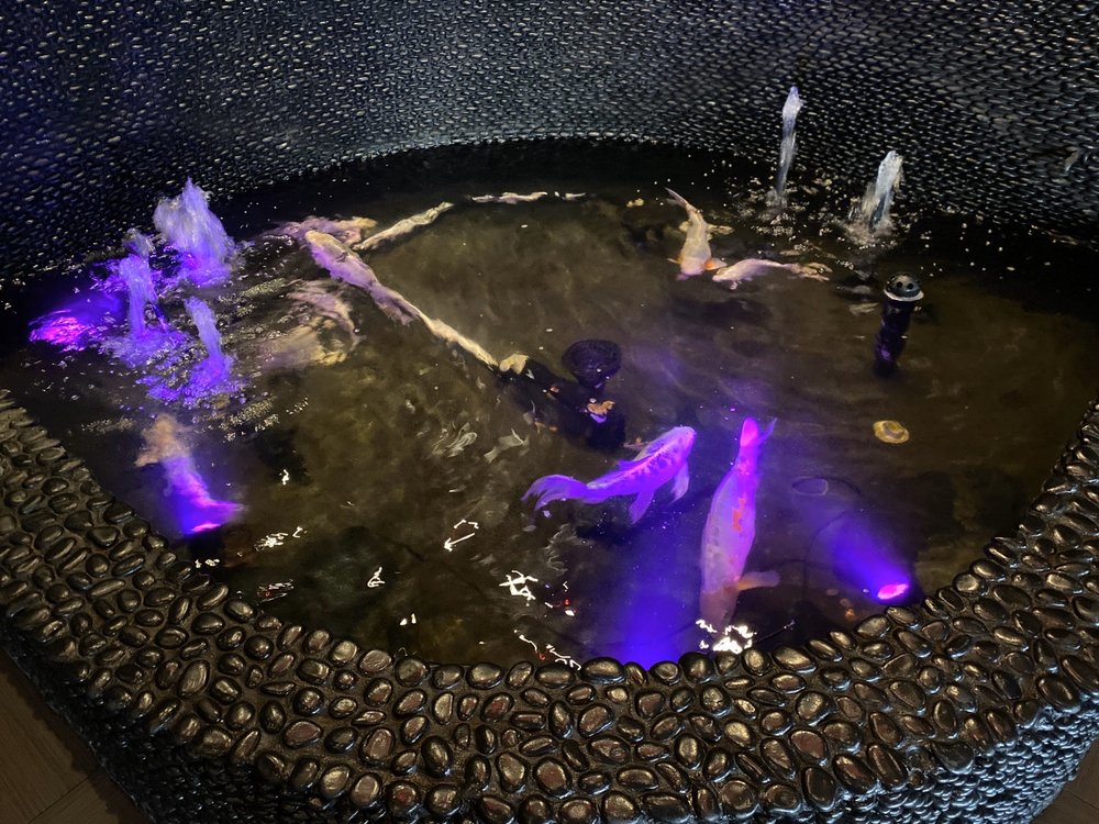 Kobe Japanese Steakhouse - Alafaya 11609 E Colonial Dr, Orlando