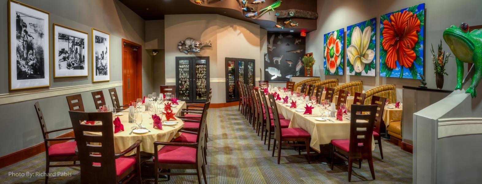 Photo credit: tripadvisor