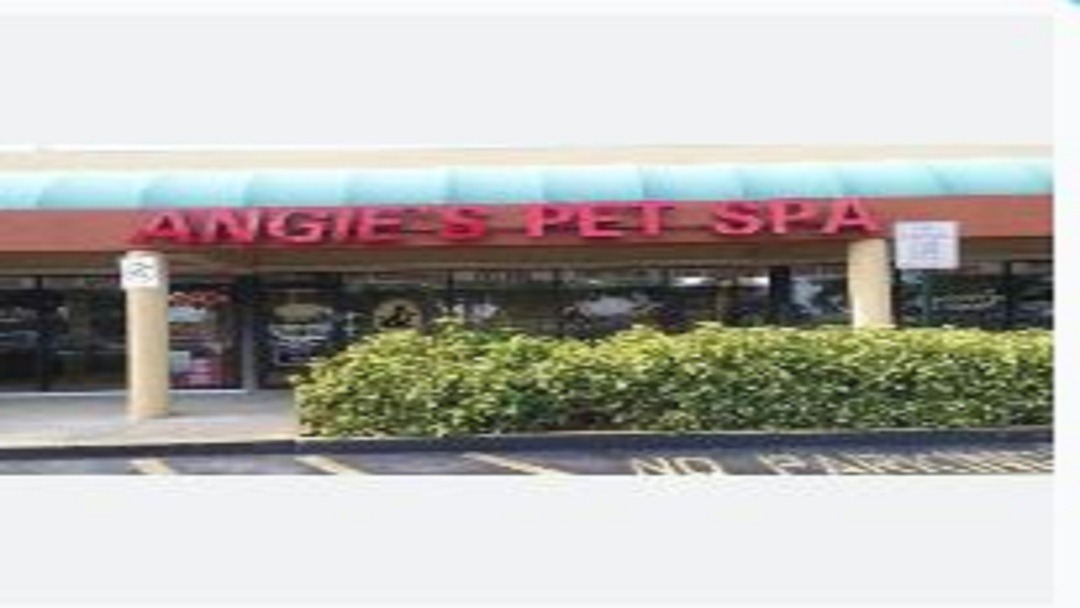 Angie's Pet Spa & Boutique