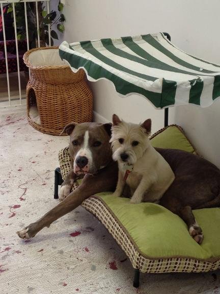 Photo credit: 