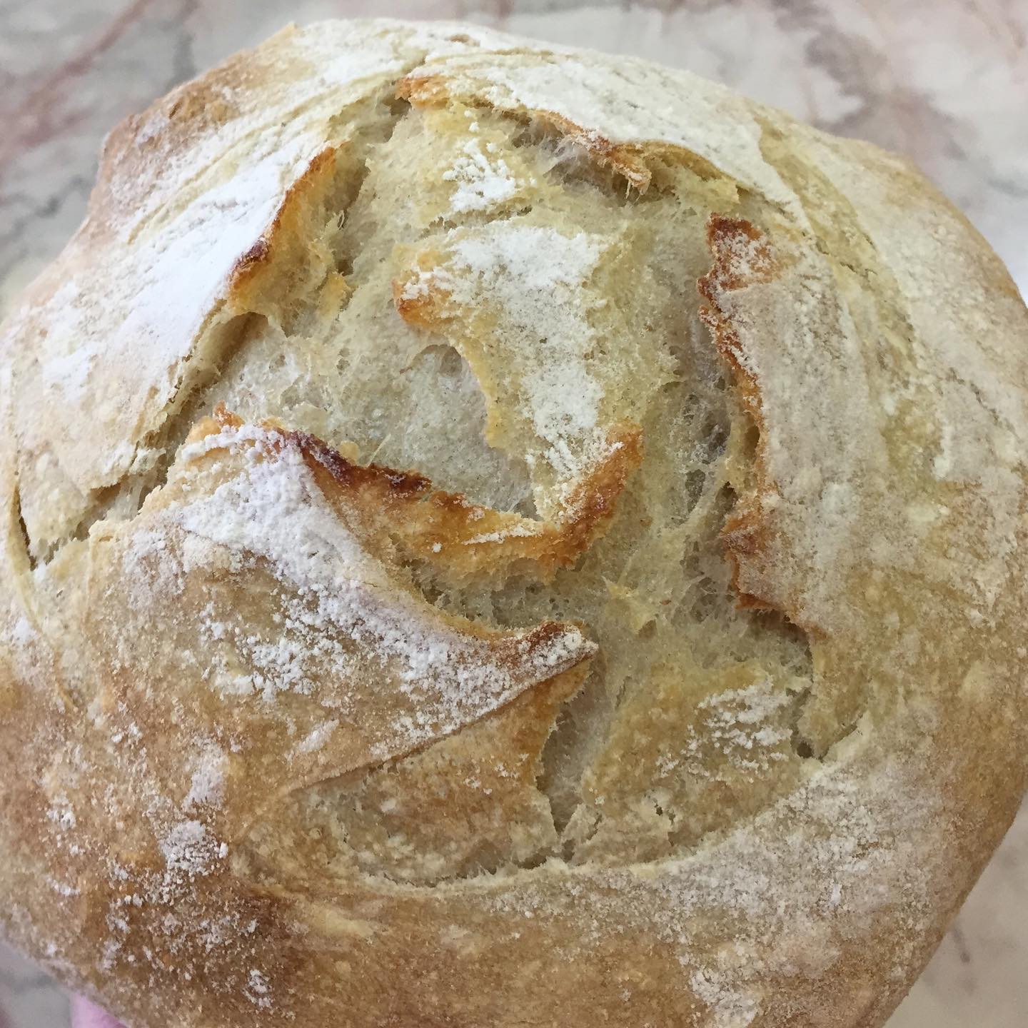 The Bread Artisans Bakery 6925 4th St N, St. Petersburg