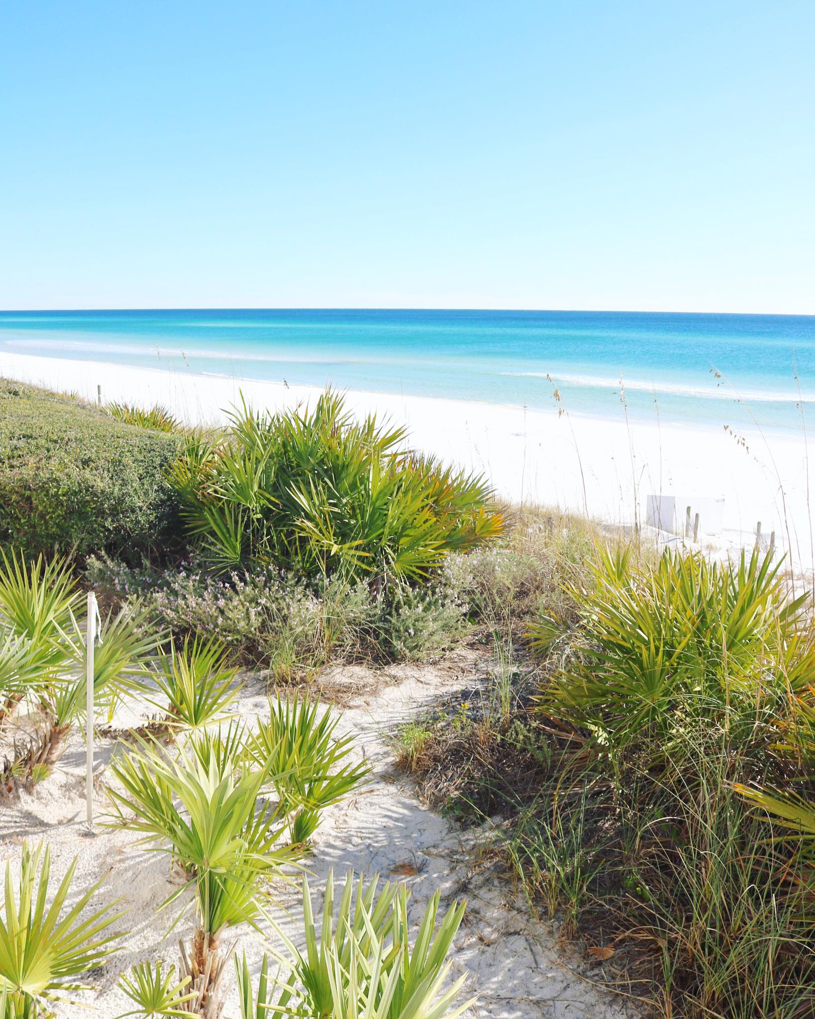 Bud & Alley’s Pizza Bar + Trattoria 2236 E County Hwy 30A, Santa Rosa Beach