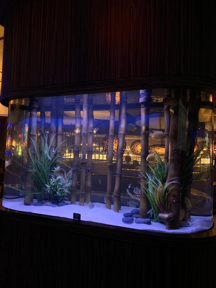 Kona Grill - Sarasota 150 University Town Center Dr #150, Sarasota