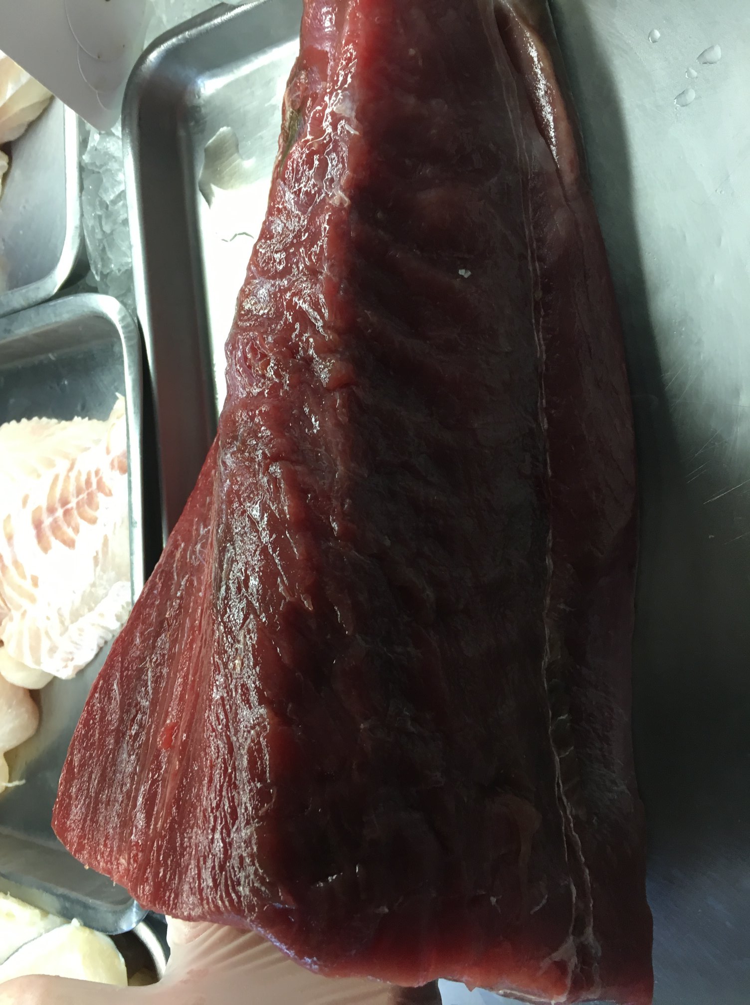 Captain Brian's Seafood Market & Restaurant 8421 N Tamiami Trail, Sarasota
