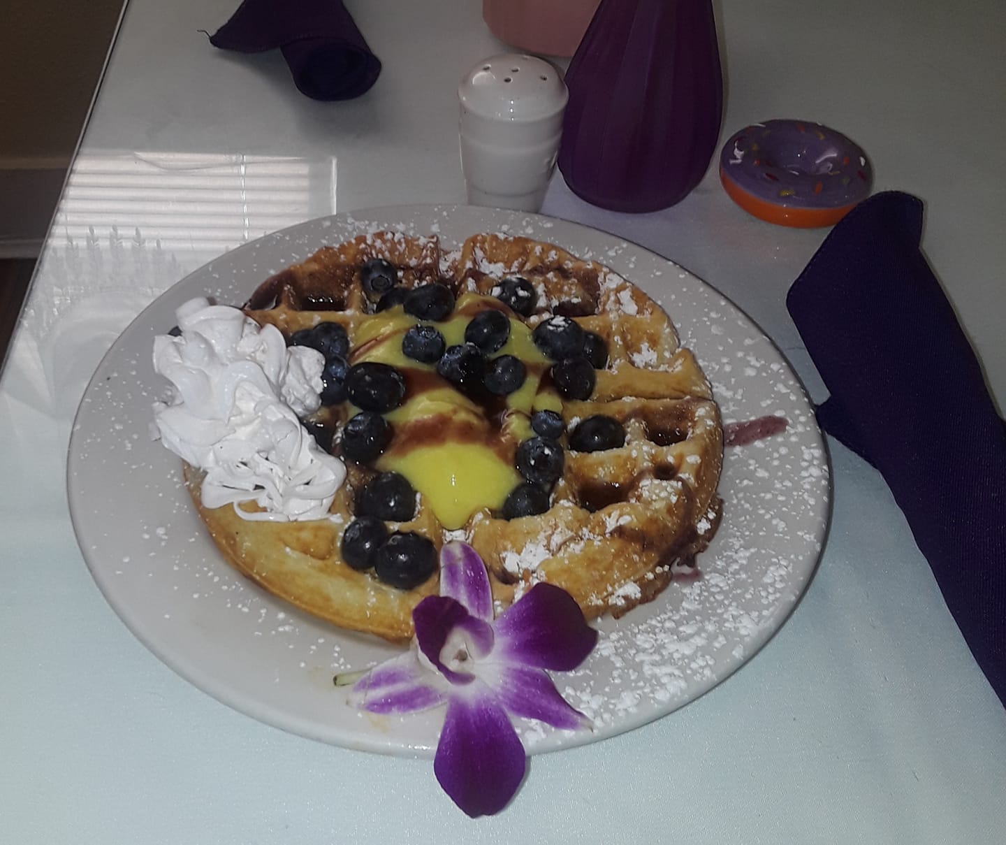 Breakfast House 1817 Fruitville Rd, Sarasota